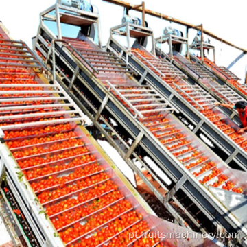 Reembalar a linha de processamento de molho de tomate